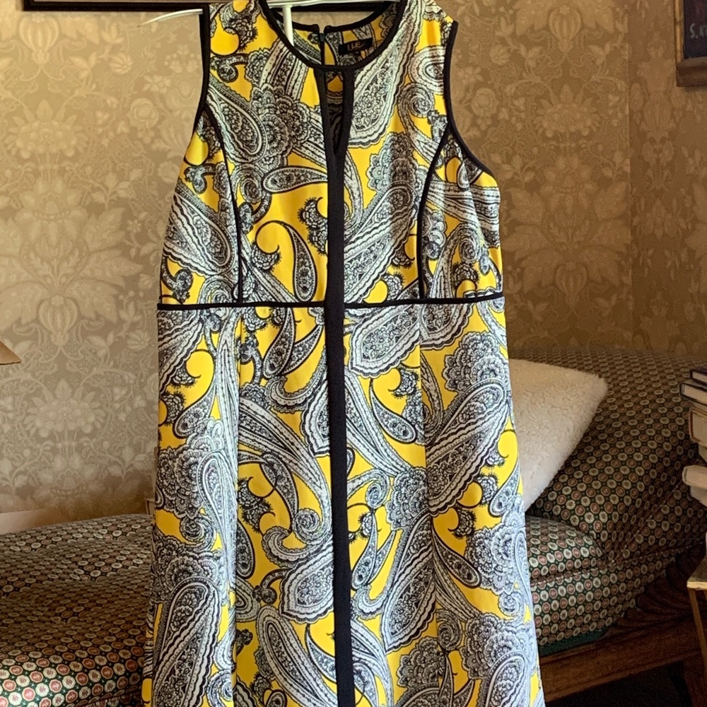 ILE sleeveless paisley poly/spandex‎ blend plus size dress. Worn once.